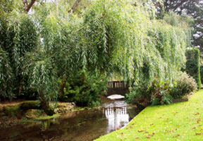 Athelhampton Gardens - Walking Tours, Dorset, England, UK