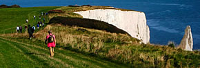 Custom tours