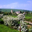 ABBOTSBURY