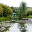 BENNETTS WATER GARDEN