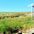 TOP OF BLIND LANE