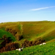EGGARDON