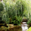 ATHELHAMPTON
