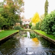 GARDEN POND ATHLEHAMPTON