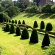 GARDEN TREES MAPPERTON