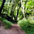 UNDERCLIFF PASS