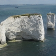 OLD HARRY