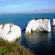 OLDHARRY