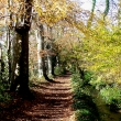 LOWER BOCKHAMPTON