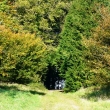 MAX GATE