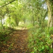 TO WINTERBORNE CAME