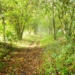 TO WINTERBORNE